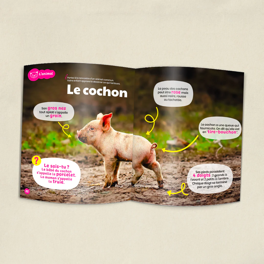Image du produit 5