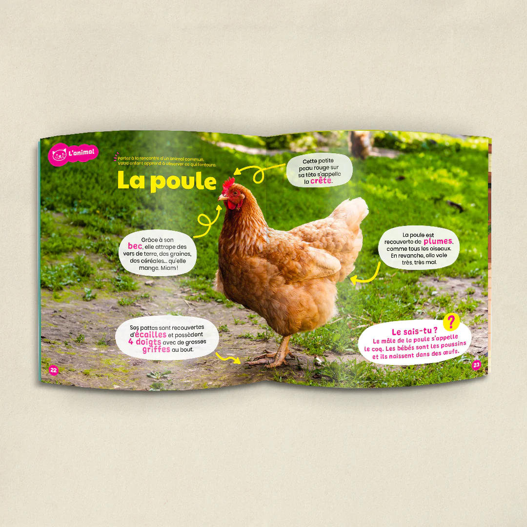 Image du produit 6
